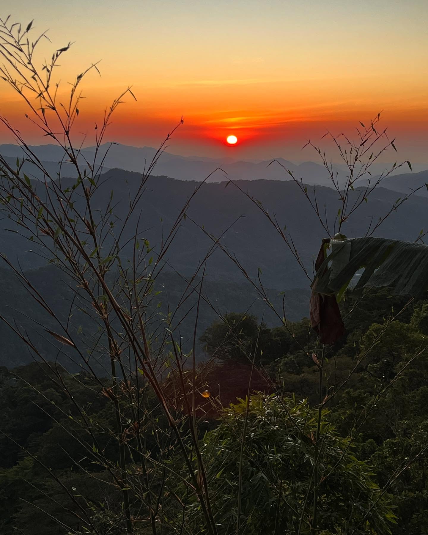 tour_colectivo_titulo_imagen_1