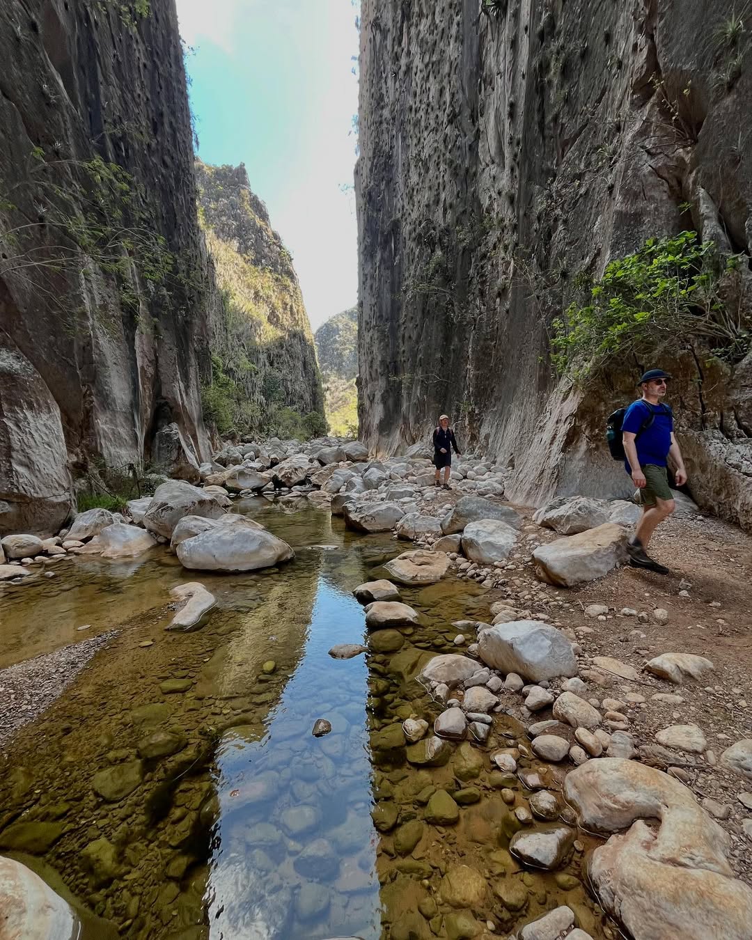 titulo_imagen_pagina_home_4